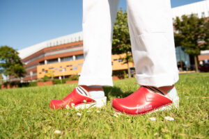 Klompen voor Vlietland